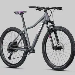 Radon ZR Lady 8.0 9 Radon ZR Lady 8.0 -Cube Fahrradladen 2021 ZR LADY 8 0 detail 04ffFwKSfADEZtB