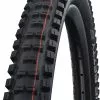 Schwalbe Big Betty Evo Super Gravity 29" Addix Soft E-50 Faltreifen