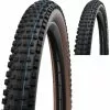 Schwalbe Wicked Will Evo Super Ground 29" Addix E-50 Faltreifen